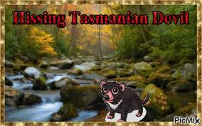 You can choose the most popular free tasmanian devil gifs to your phone or computer. Hissing Tasmanian Devil Picmix