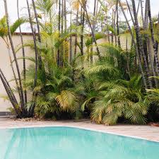 The 17th century gardens were found in belhus park, thurrock, by historic england researchers. 18 Best Plants For Swimming Pool Landscaping