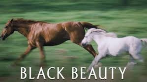 We talked to a brand executive about the beauty black market. Is Black Beauty 1994 On Netflix Germany