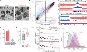 With an ex max of 407nm and em max of 602nm, bd horizon bv605 can be excited by a violet laser and detected. H1 Histones Control The Epigenetic Landscape By Local Chromatin Compaction Nature
