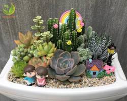 Hình ảnh về Một không gian sống tràn ngập ánh sáng với điểm nhấn là terrarium xanh mướt