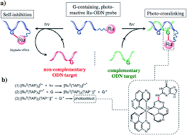 Maybe you would like to learn more about one of these? Combination Of Ru Ii Complexes And Light New Frontiers In Cancer Therapy Chemical Science Rsc Publishing