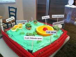 We did not find results for: We Have A Rice Crispy Treat Square 8x8 For A Science Project Which Is Called Edible Cell Model Project Obvio Cells Project Cell Model Edible Cell Project