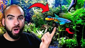 Aquascape Tips