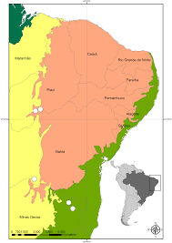 Image result for Flabellariopsis acuminata