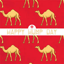 The hump day camel was a camel that looks similar to cameel habib habab and mistook him by some fans. Gif Camel Hump Day Wednesday Animated Gif On Gifer By Wrathsinger