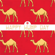If you are that office camel then this is for you. Gif Camel Hump Day Wednesday Animated Gif On Gifer By Wrathsinger