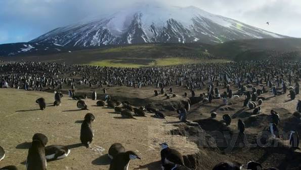 Planet Earth II 4K Blu-ray (4K Ultra HD)