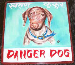 Pin On Beware Of Dog Art