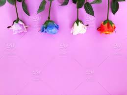 Florabunda new zealand provides a wide range of realistic silk flowers that can be purchased individually or by the bunch in some cases. Rose Background Pink Rose Blue Rose White Rose Orange Rose Roses Beautiful Roses Flowers Artificial Flowers Fake Flowers Plastic Flowers Pink Background Copy Space Space For Copy Room For Copy Pretty Lovely