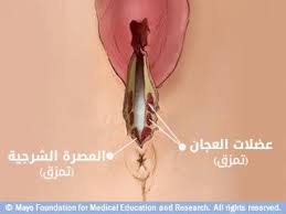 اشكال الخياطه بعد الولاده بالصور الخياطة بعد الولادة الطبيعية بالصور ابداع افكار