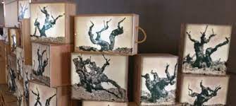 La caja especial se personaliza con especificaciones del cliente y con base a ellas una propuesta de envolturas y sorpresas de méxico. Decorar Con Las Cajas De Madera De Botellas De Vino