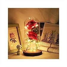 Wir verraten, wie ihr einen flaschengarten oder ein ewiges terrarium anlegen die wohl berühmteste pflanze im glas ist die welkende rose in disneys 'die schöne und das biest'. Choco Romantische Rose Beauty And The Beast Rose Kit Kunstliche Rote Rose In Glaskuppel Mit Holzsockel Inkl Led Lichtl Rosen Im Glas Ewige Rose Blumen Rosen