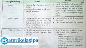 We did not find results for: Perbedaan Mitosis Dan Meiosis Berdasarkan Tahap Pembelahan Tujuan Tempat Terjadi Dan Hasilnya