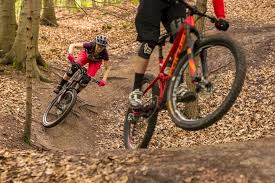 Willkommen Im Landle Trails Um Stuttgart Mtb News De