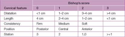 Image result for Bishop Score