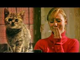 Could You Kill A Kitten Derren Brown Derren Brown Cute Kitten Gif Kitten