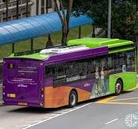 BYD BC12A04 | Land Transport Guru