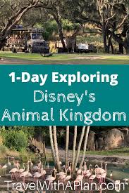 1 Day Animal Kingdom Itinerary In 2020 Animal Kingdom Touring Plan Best Family Vacation Spots Animal Kingdom Disney