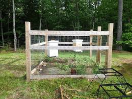 8 Proper Beehive Placement Tips Backyard Bee Bee Friendly Garden Bee Garden