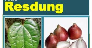 Rawatan resdung tradisional menggunakan herba terpilih. Ubat Resdung Mujarab Selamat Lulus Kkm Herba Resdung Tok Aki Rawatan Secara Tradisional Petua Rawat Resdung