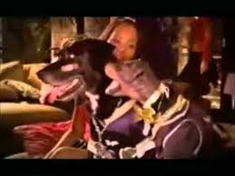 I Keed Triumph The Insult Dog Youtube