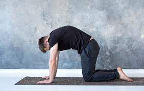 We did not find results for: Yoga The Art Of Living