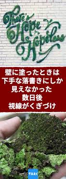 コケは地上最古の生命の一つです 空気を浄化する働きがあり 癒しの効果も抜群で 最近では室内にも置ける植物として人気を集めています 今回は 角度を問わず どこでも好きな場所を苔空間にしてしまう 苔ペンキ の作り方をご紹介します 苔 ペイント ペンキ