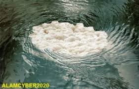 Macedonian malagasy malay malayalam malaysian maltese manx maori marathi mayan mayan mythology medieval medieval english melanesian +popularity. 7 Fantastic Malaysian Beasts And Where To Probably Find Them