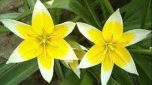 Suratan atau kebetulan chord in the urls. Chords For Kenny Remy Martin Suratan Atau Kebetulan