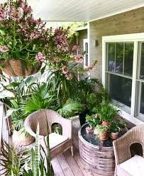 Patio Decorating With Indoor Plants Plants Indoor Flowering Plants Indoor Plants