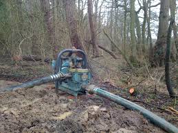 While us news does not give a patient safety rating. Creating A Woodland Pond And Encouraging Pond Life Woodlands Co Uk