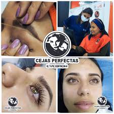 Cejas Perfectas