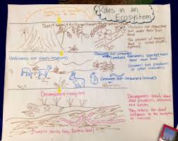 Pin By Katie Lawyer On Classroom Stuff Teaching Middle School Science Science Anchor Charts Homeschool Science Lessons