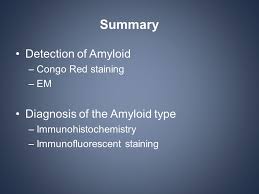 Congo red stains amyloid in tissue sections. Pathologic Diagnosis In Amyloidosis Ppt Video Online Download