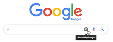 Google Tips: How To Search By Image With Google