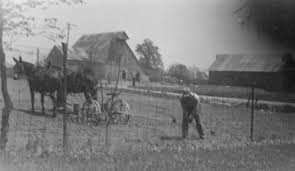 The Dukes: Roots Run Deep