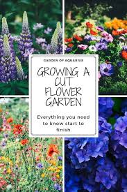 Pin On Flowers Potted Designs