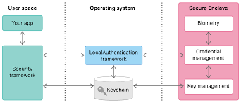 Accessing Keychain Items With Face Id Or Touch Id Apple Developer Documentation