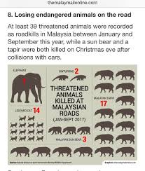 This Was The Count For Endangered Animal Roadkill In Malaysia For 2017 And This Is Just The Endangered Ones Cant Even Animal Conservation Cow Cat Endangered