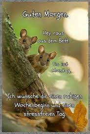 Wochenstart gb pic (gb pics) wochenstart whatsapp bilder ich wünsche dir eine tolle neue woche, hallo ich wünsche dir einen guten start in die neue woche. 97 Wochenstart Ideen In 2021 Wochenstart Montag Grusse Guten Morgen Gruss