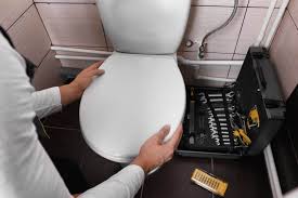 If your toilet never flushed well it is because it is not very efficient at removing waste. How To Remove Toilet Seat With Hidden Fixings A Detailed Guide Project For Home