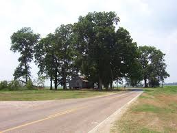 Check our facebook page for reviews! Golddust Tennessee Wikipedia
