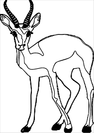 How to draw a pronghorn with color pencils time lapse. Staring Antelope Coloring Page Coloringbay