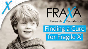 Check spelling or type a new query. What Is Fragile X Syndrome Fragile X Research Fraxa Research Foundation