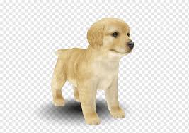 Mouthiness (exacerbated by teething) is front and center right now. Golden Retriever Labrador Retriever Puppy Nintendogs Cats Dog Breed Golden Retriever Mammal Animals Carnivoran Png Pngwing