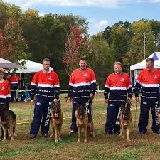 Rylie von der otto, va hill vom. Wilhendorf German Shepherd Dogs Home Facebook
