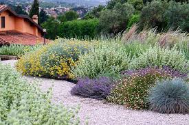 How to create an italian courtyard garden. The Italian Branch Of The Mediterranean Garden Society