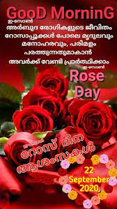 Pin By Eron On National Rose Day Malayalam Projects To Try Rose Flowers