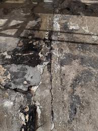 Image result for Monosis